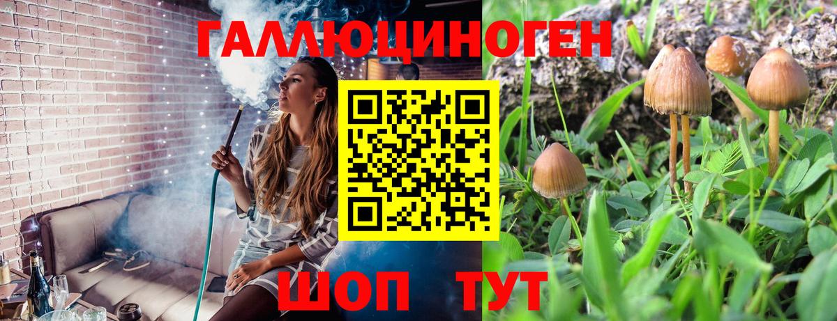 Полысаево  Псилоцибиновые грибы мухоморы  Вход с VPN  Галлюциногенные грибы GOLDEN TEACHER 