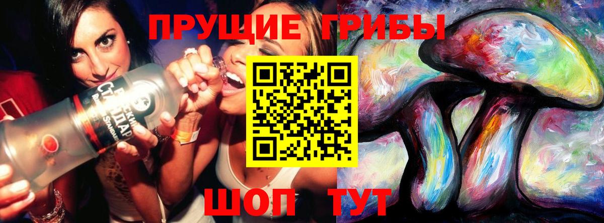 Галлюциногенные грибы Psilocybe Полысаево
